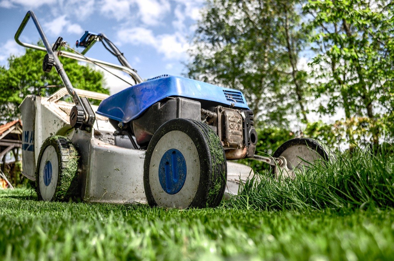 Wat kun je doen als je tuin wel een opknapbeurt kan gebruiken?